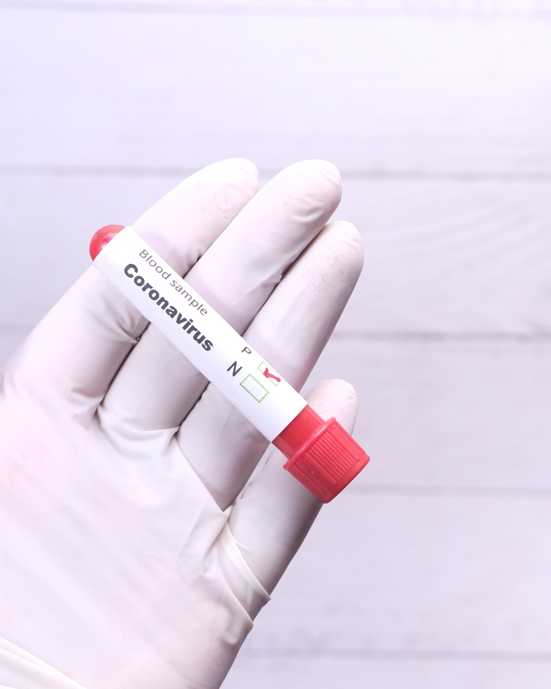 Laboratoire